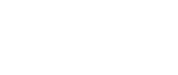 bloom-logo-1 1