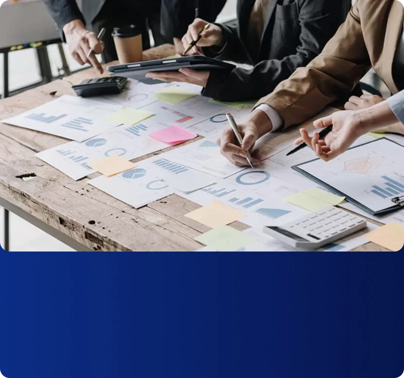 Project Management & Consultation