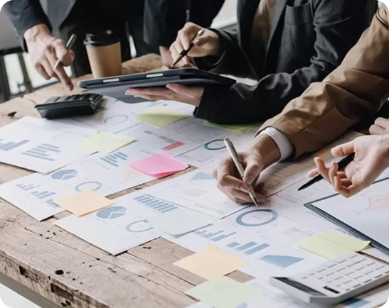 Project Management & Consultation