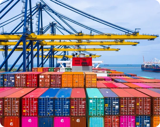 Import & Export Solutions